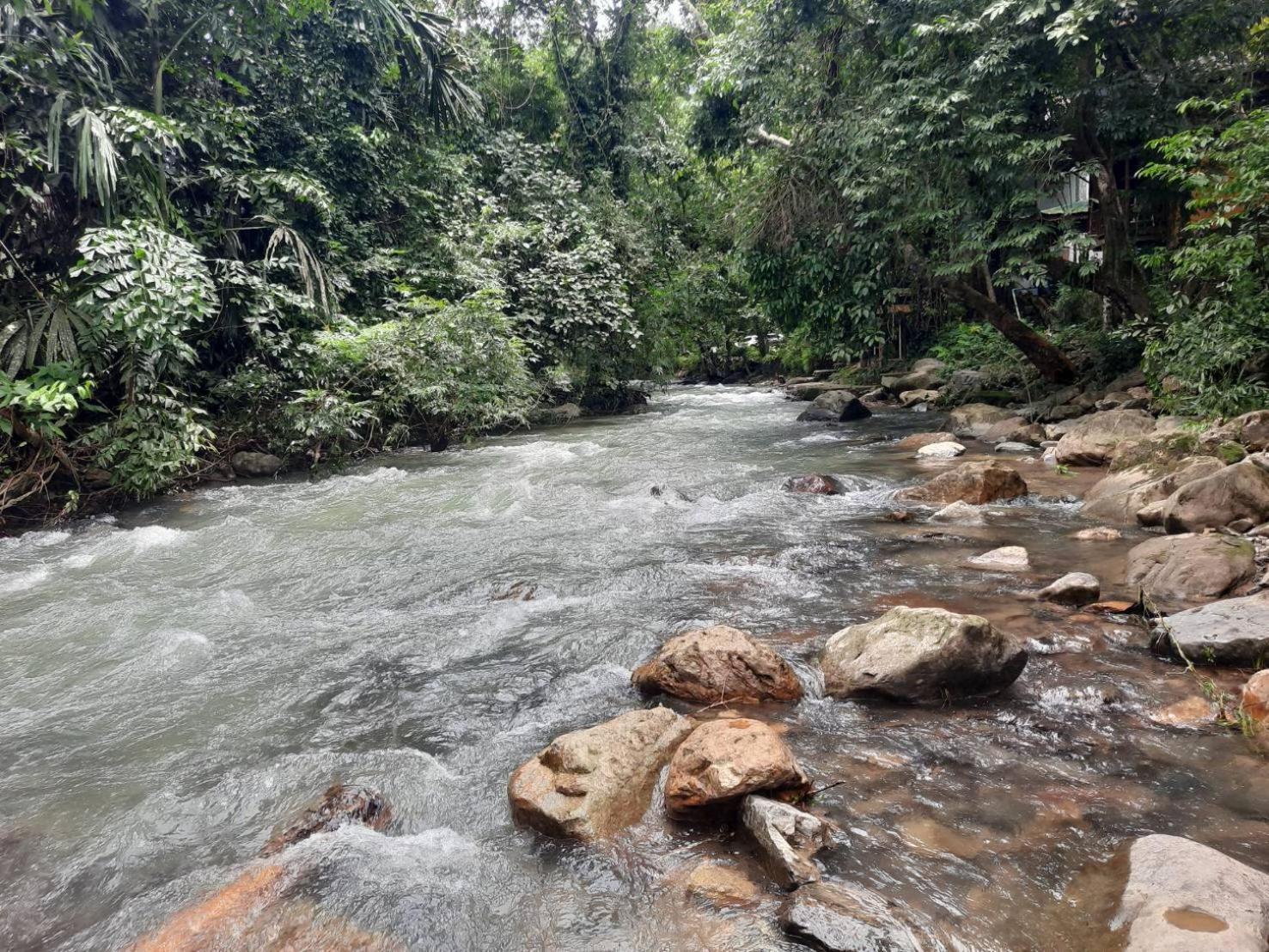 Tree Tops River Huts Khao Sok National Park Exterior foto