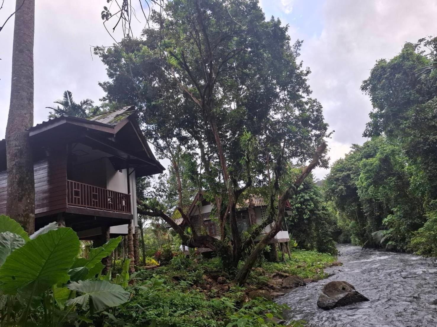 Tree Tops River Huts Khao Sok National Park Exterior foto